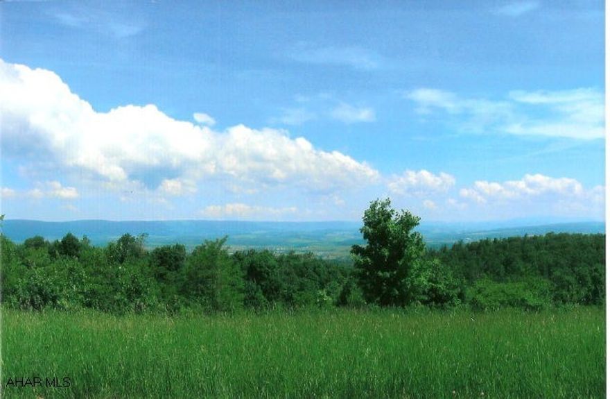Great piece of ground off Glade Pike. Mostly wooded, some mountain ground, some fields. Borders a township road along the left side. Electric is already on property. An old foundation and well also on property, no septic system. Contains 69.81 acres, survey going to be done for exact amount of land.