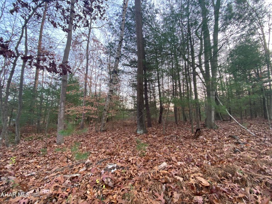 This Wooded 8.22 Acre flat parcel located on Petersburg Pike is calling your name. It is in close proximity to state game lands for those hunting enthusiasts out there and is easily accessible from the public road. Build your dream home on this wooded parcel, easy commute to Huntingdon, Alexandria, Altoona, and State College.Enjoy living in the country with a short distance to stores, shopping, and schools.