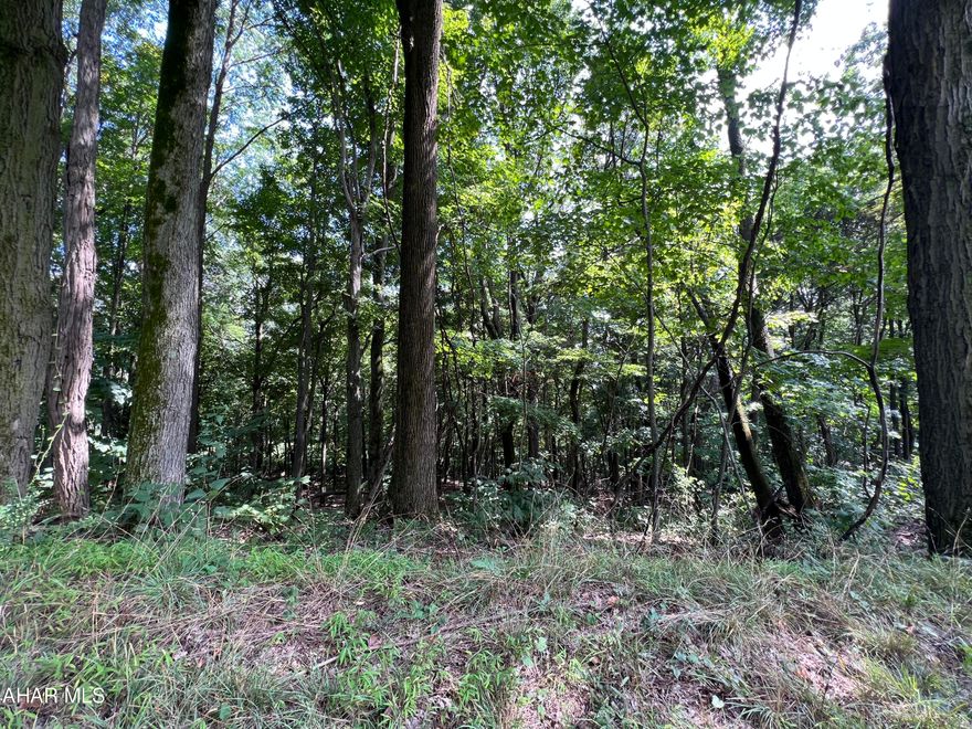 5.10 acers of beautiful, private, unimproved land. No perc or well on the property, mostly wooded.