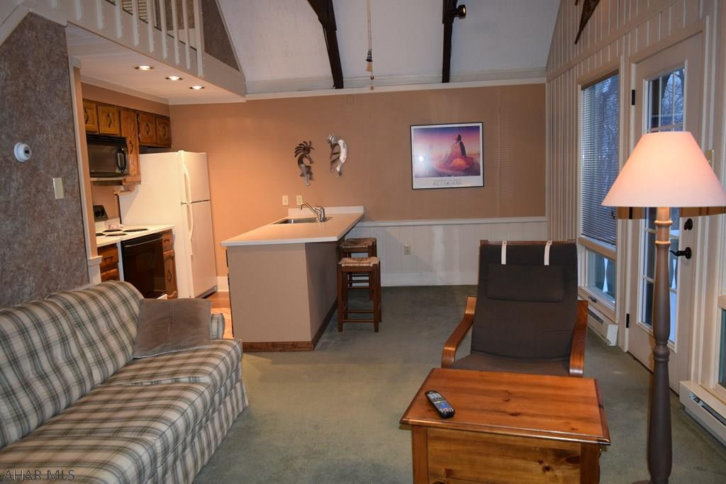 Blue Knob - Residential