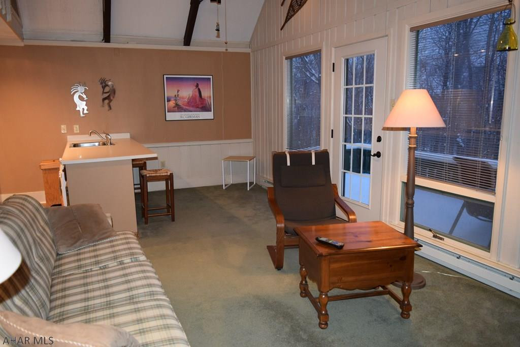 Blue Knob - Residential