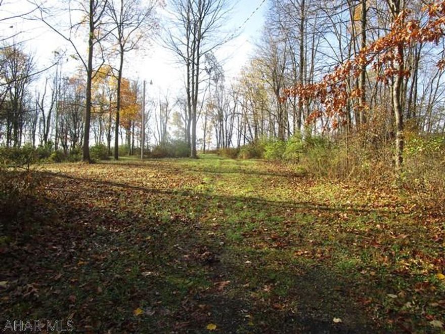 Looking for acreage that is ready for your dream home? This beautiful lot in this quiet neighborhood has a drilled well, a sand mound and has been excavated for a foundation. The utilities are available and just waiting for you to tap in. At the top of Weaver Woods Road, you are just minutes from State Game Lands. Shy Beaver boat launch and Weaver Falls are only five minutes away. This property is perfect for the person that enjoys the outdoors as well as someone that is looking for a peaceful quiet place to call home.