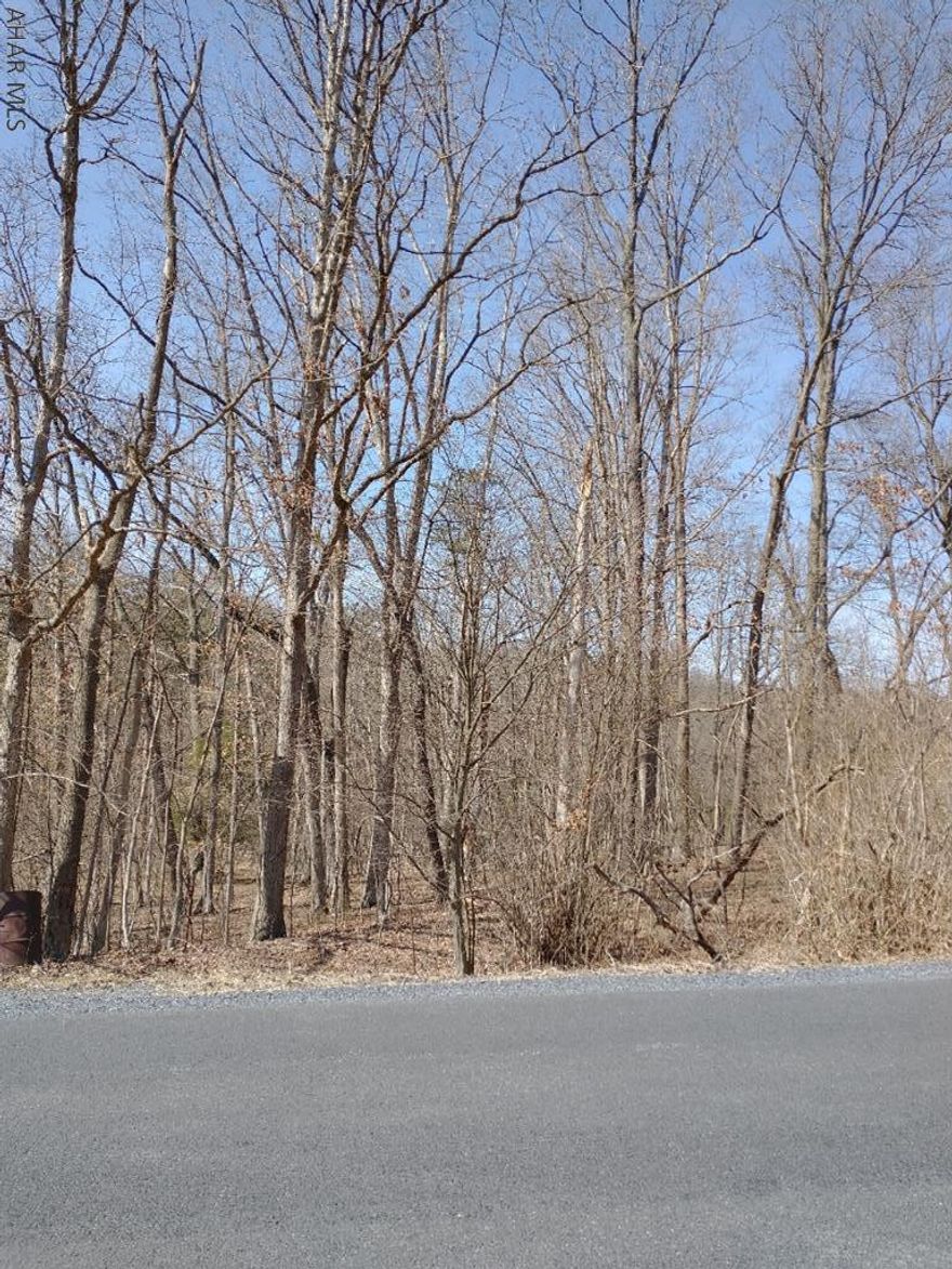 Beautiful 4.04 acre tract of ground - 3.3 miles from town - Great for building your dream home.  Utilities are available - but not on site.  Less than a mile from Omni Bedford Springs. Access from Sweet Root Road.