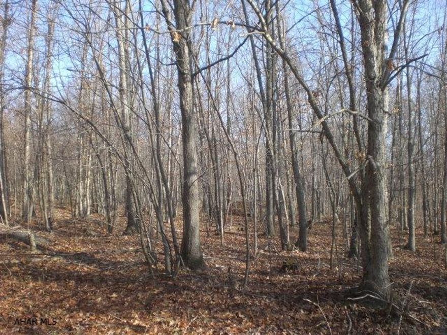 Really nice wooded building lot containing 4.516 acres. Corner lot, public sewer available and great views. Close to schools and major roads.
