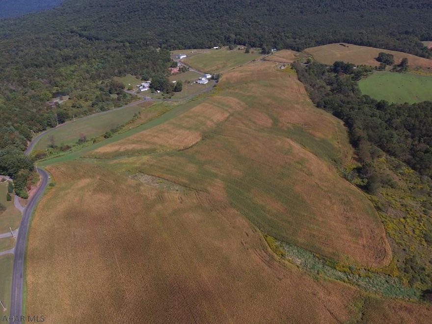 Nice parcel of land consisting of 58+/- acres in Southern PA. Property offers scenic views of the surrounding countryside and consists of mostly tillable land with road frontage making a beautiful site to build your dream home or farmette on. Property is currently being leased for farming and has reported good soils and proven crop yield history. Easy access to Route 30, PA Turnpike and I-70. Taxes do not reflect subdivision.
