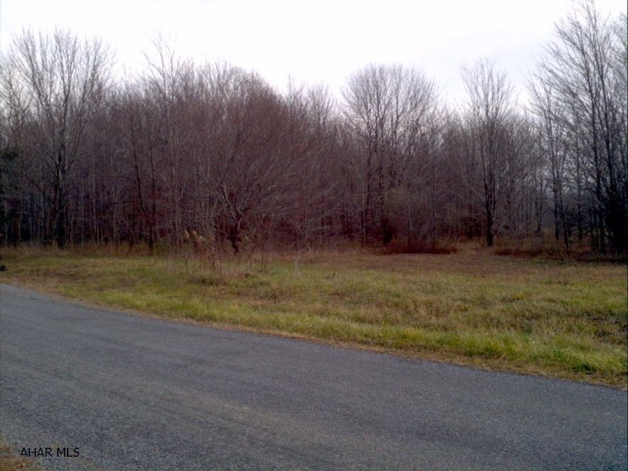 This is mostly wooded 9 acre level corner lot has breath taking views. Multiple building options that could leave you with unlimited privacy. Right at the intersection of Kid Long Rd and Spindley City Rd. No current perk test on record-- call for all the details