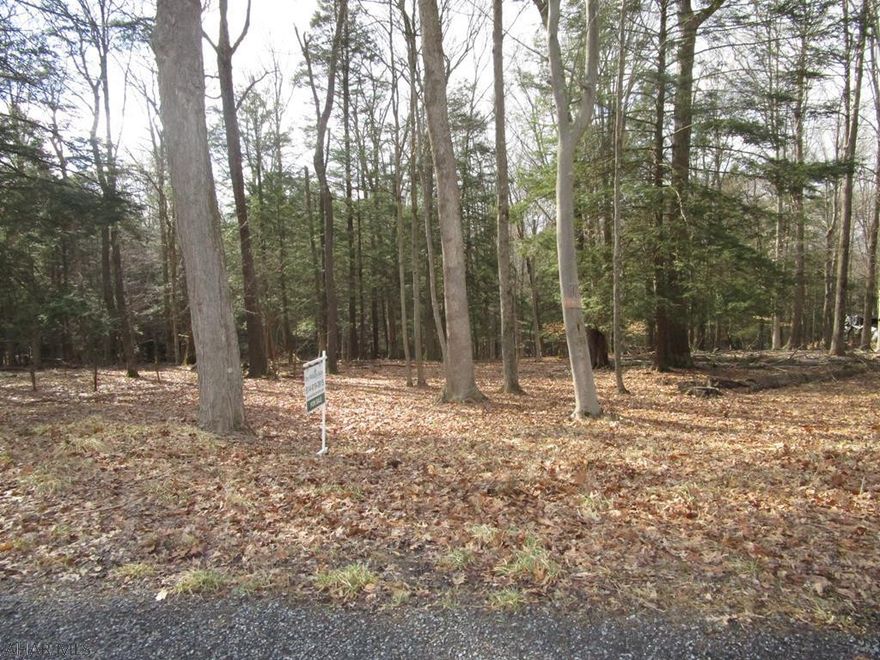 Over 3./4 acre wooded lot perfect for your dream home or get-a-way.  Grand Trunk Road offers spacious, mostly flat wooded parcels with all utilities available for your building ease.  No need for a perc test or well drilling.  Enjoy the advantages of country living with the amenities of a gated community.  Adjacent to Prince Gallitzin State Park / Glendale Lake.  Close to State Game Lands 108 and Rock Run ATV Park.