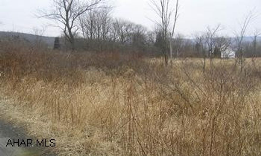 9+/- acres along Juniata Valley Road. Part of property in 100 year and 500 year Flood Zone. Part out of Flood Zone could be built on.