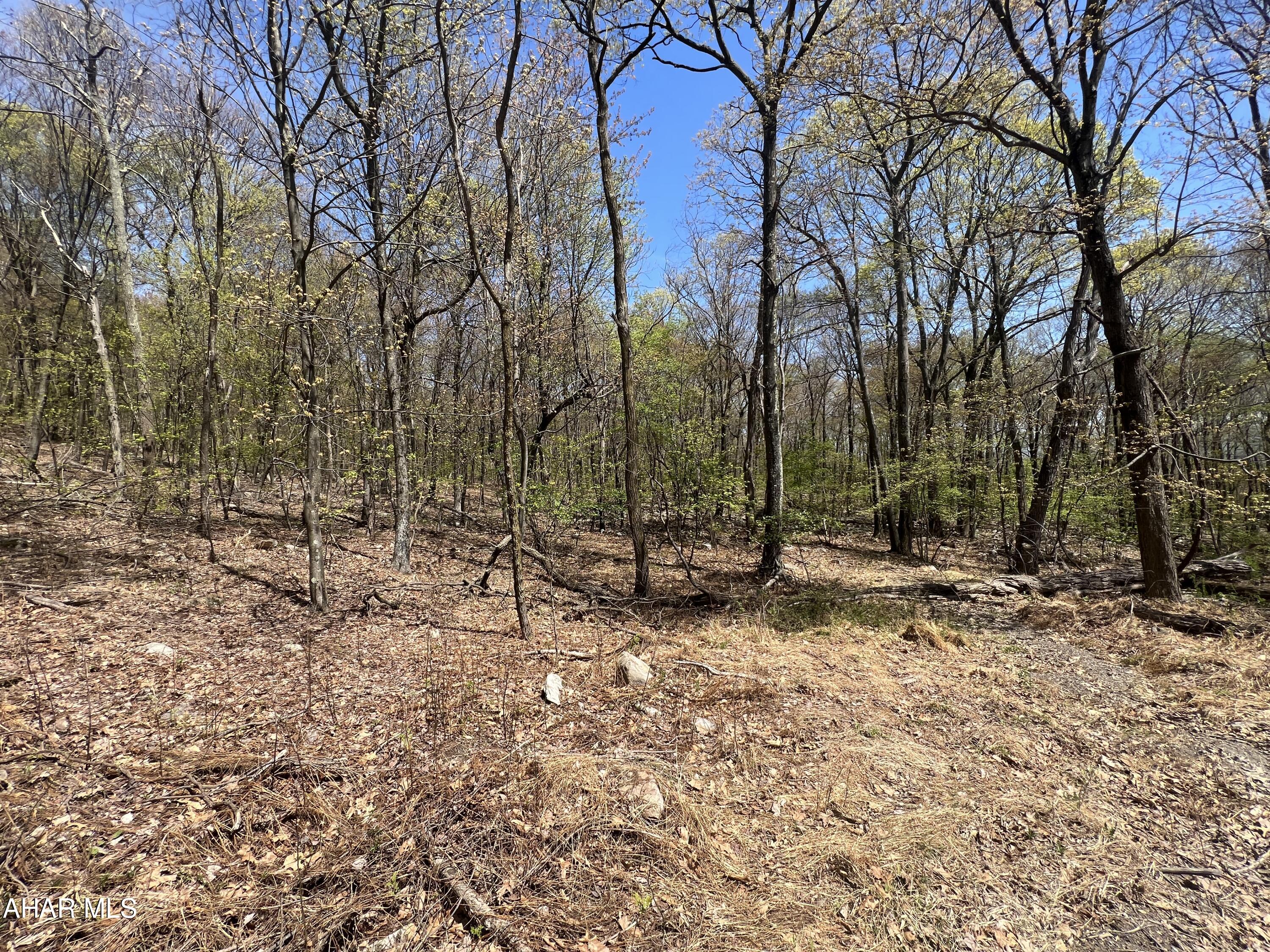 Other - Commercial Sale