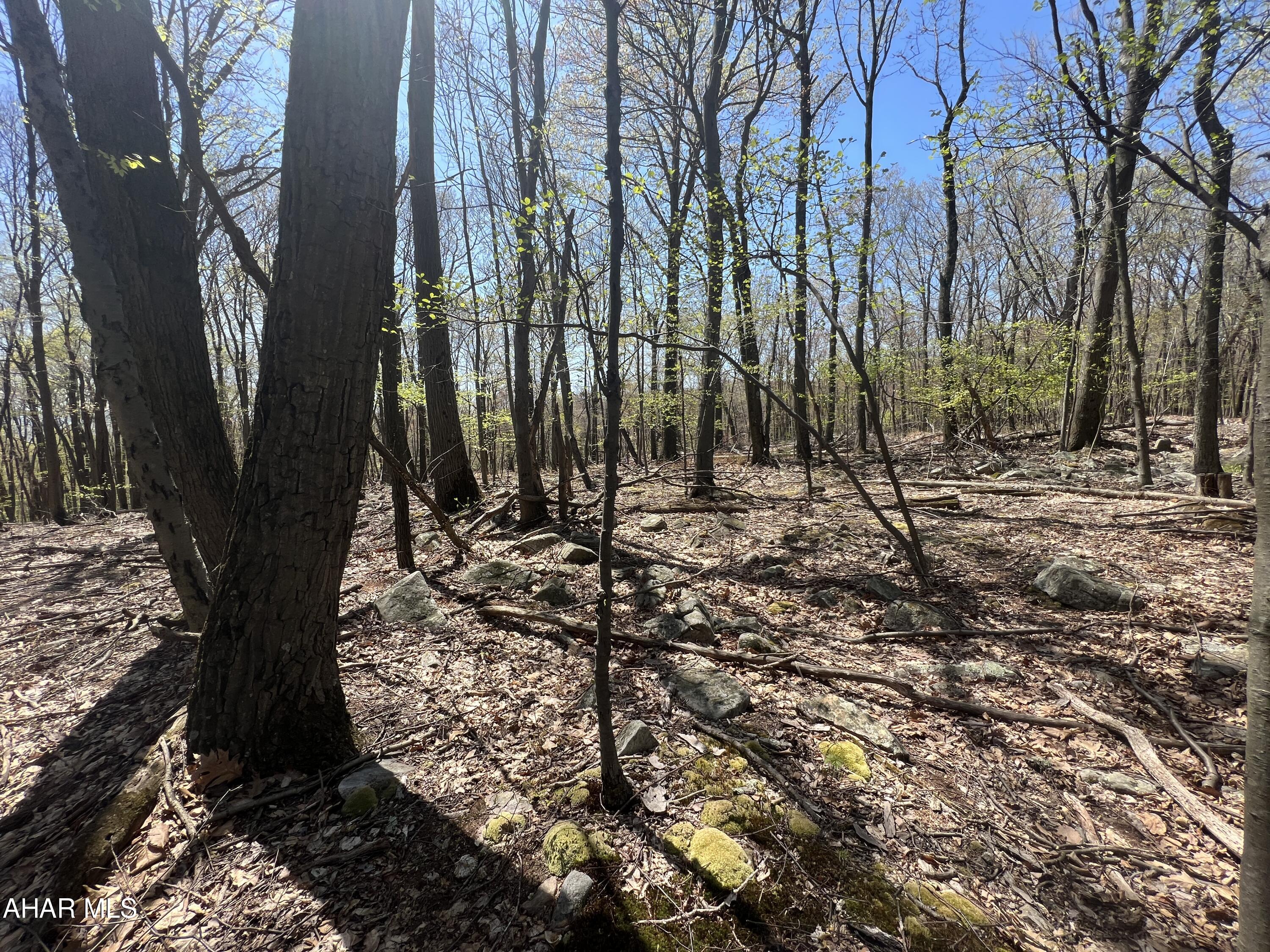 Other - Commercial Sale