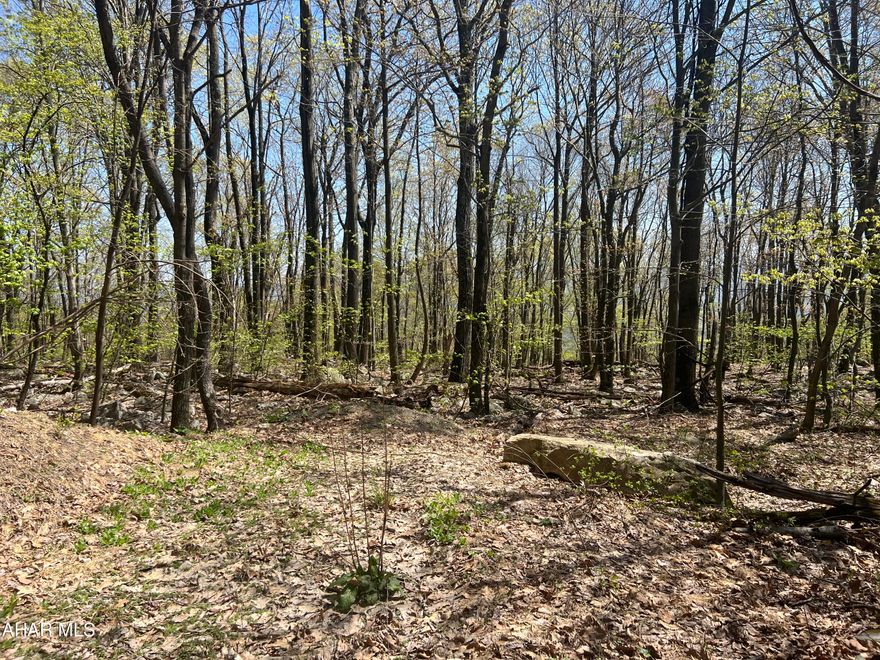 Nice wooded parcel of land consisting of 10+/- acres. Would make a nice place to build a getaway or hunting camp in the mountains. Located not far from PA State Game Lands, Juniata River, Thousand Steps, Standing Stone Trail, and Lake Raystown. Access to the property is gated.