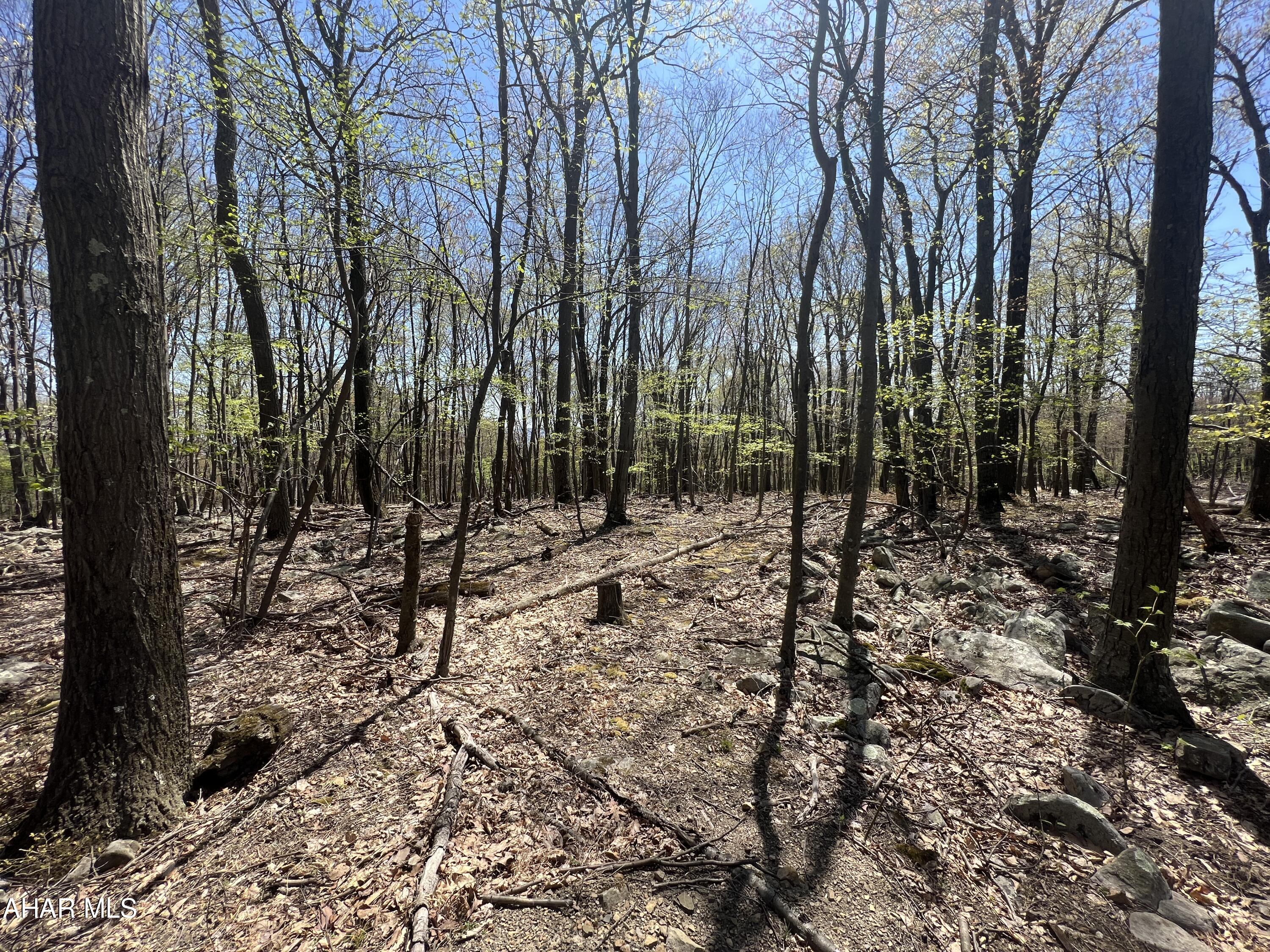 Other - Commercial Sale