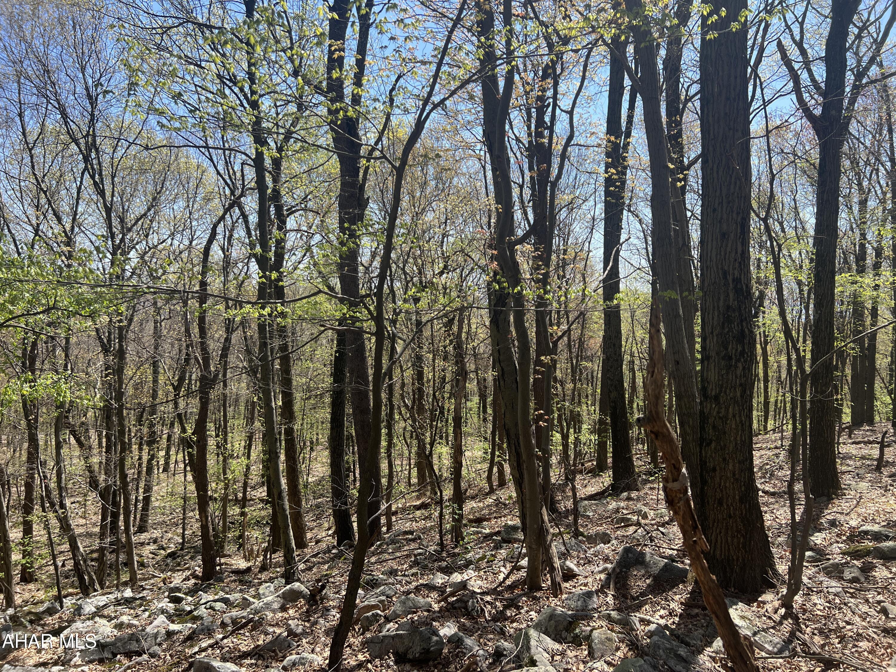 Other - Commercial Sale