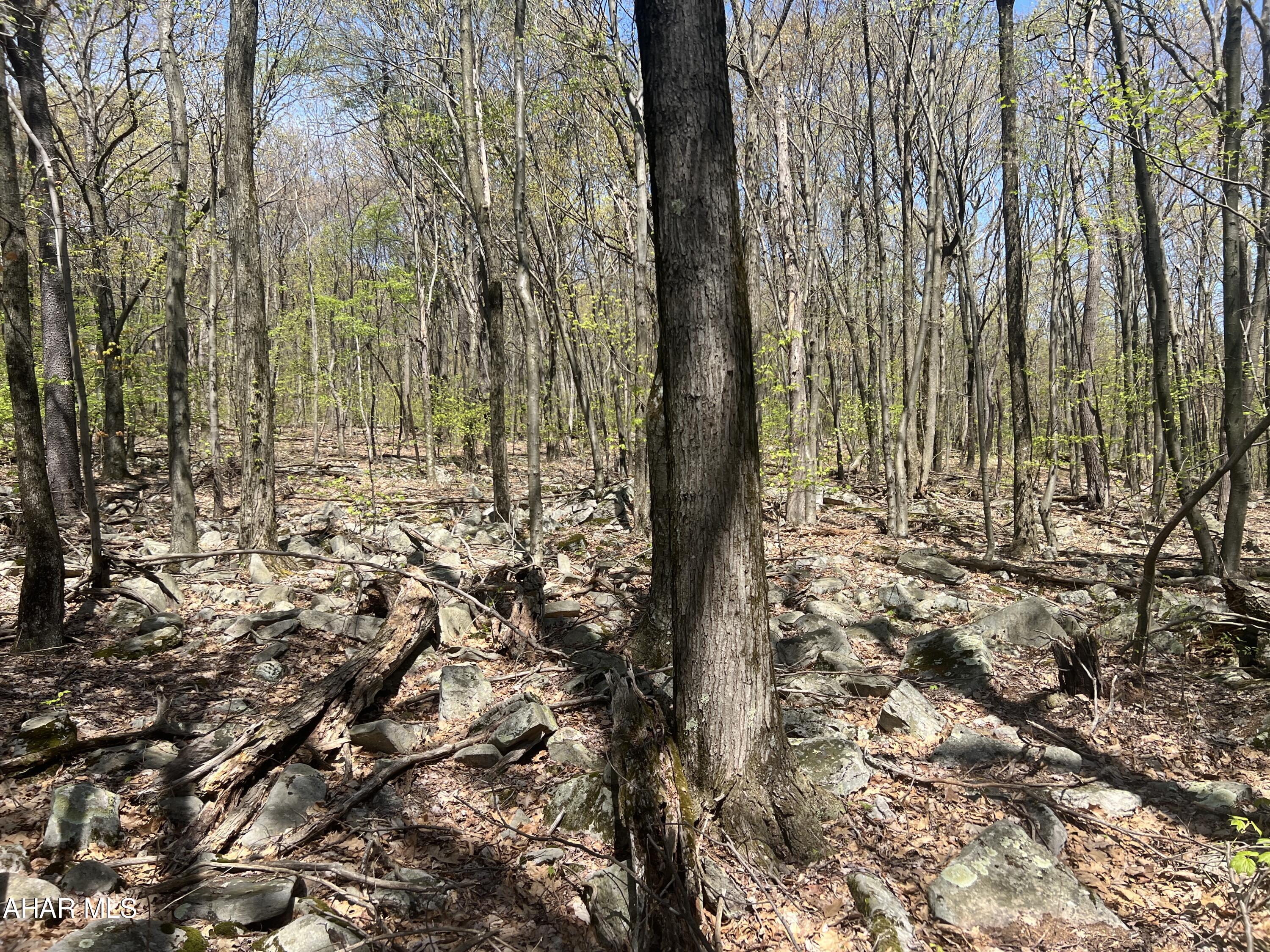 Other - Commercial Sale