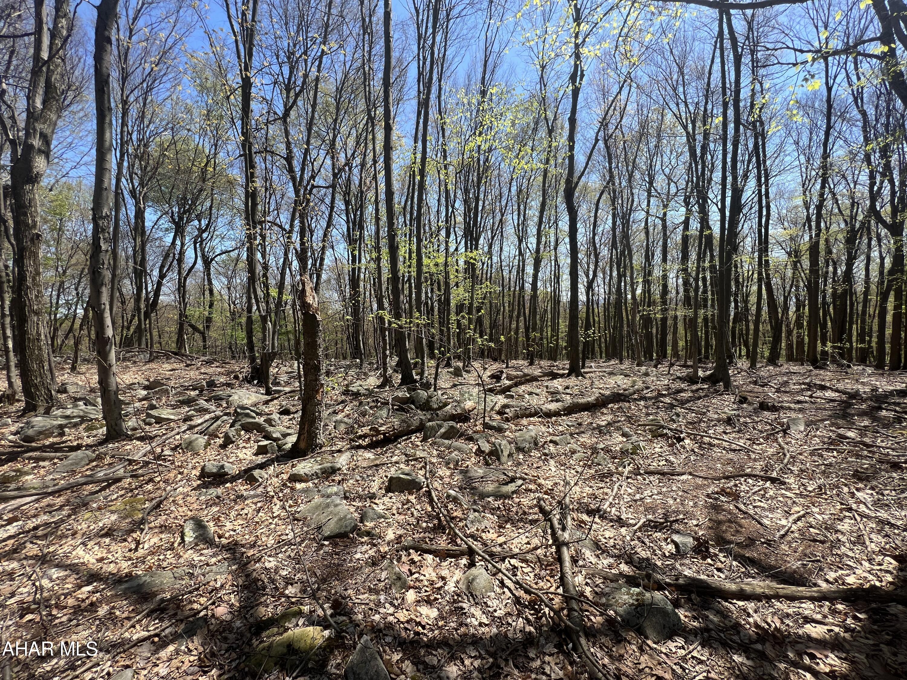 Other - Commercial Sale