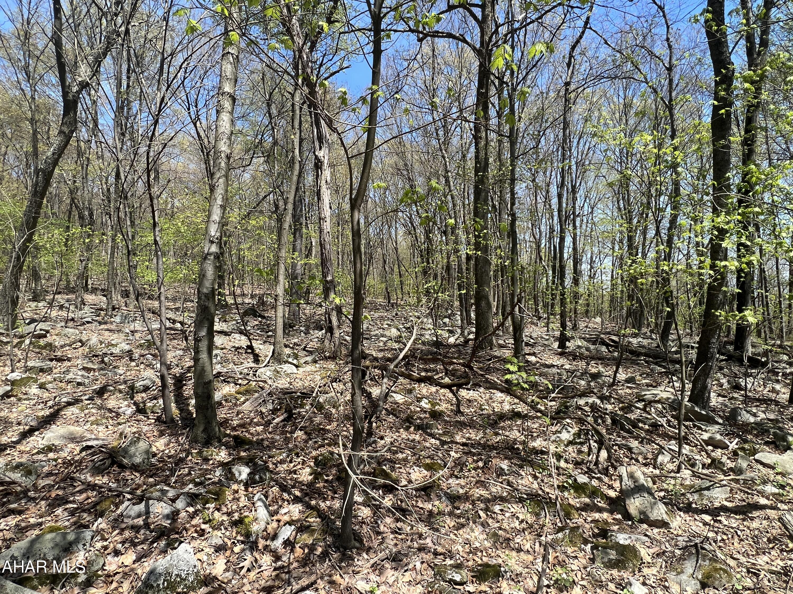 Other - Commercial Sale