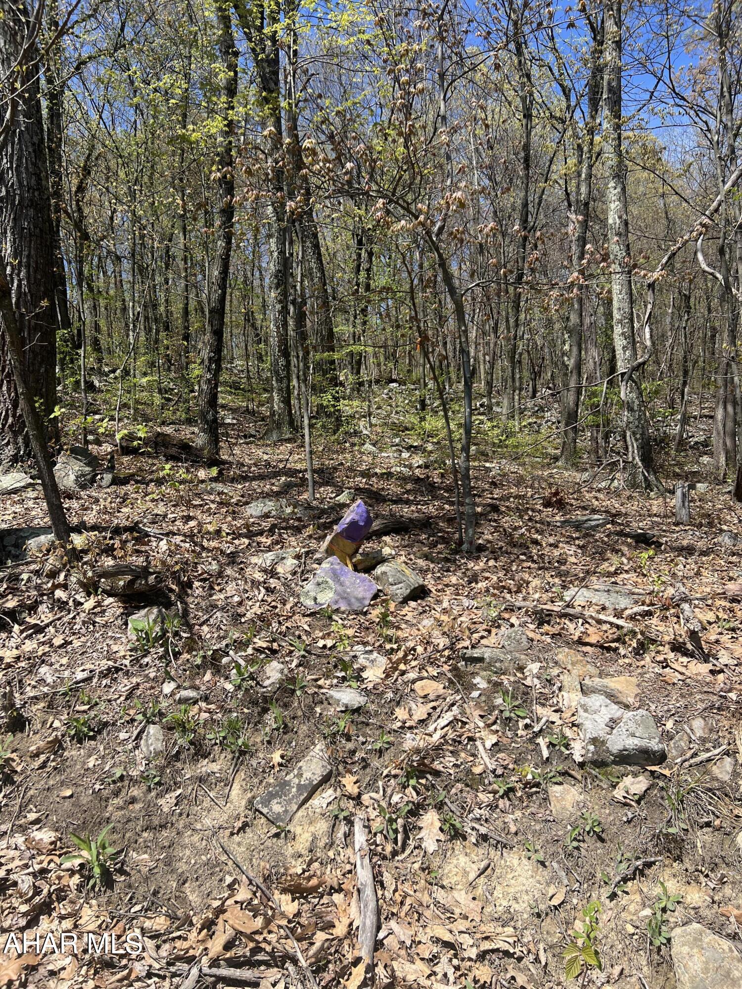 Other - Commercial Sale