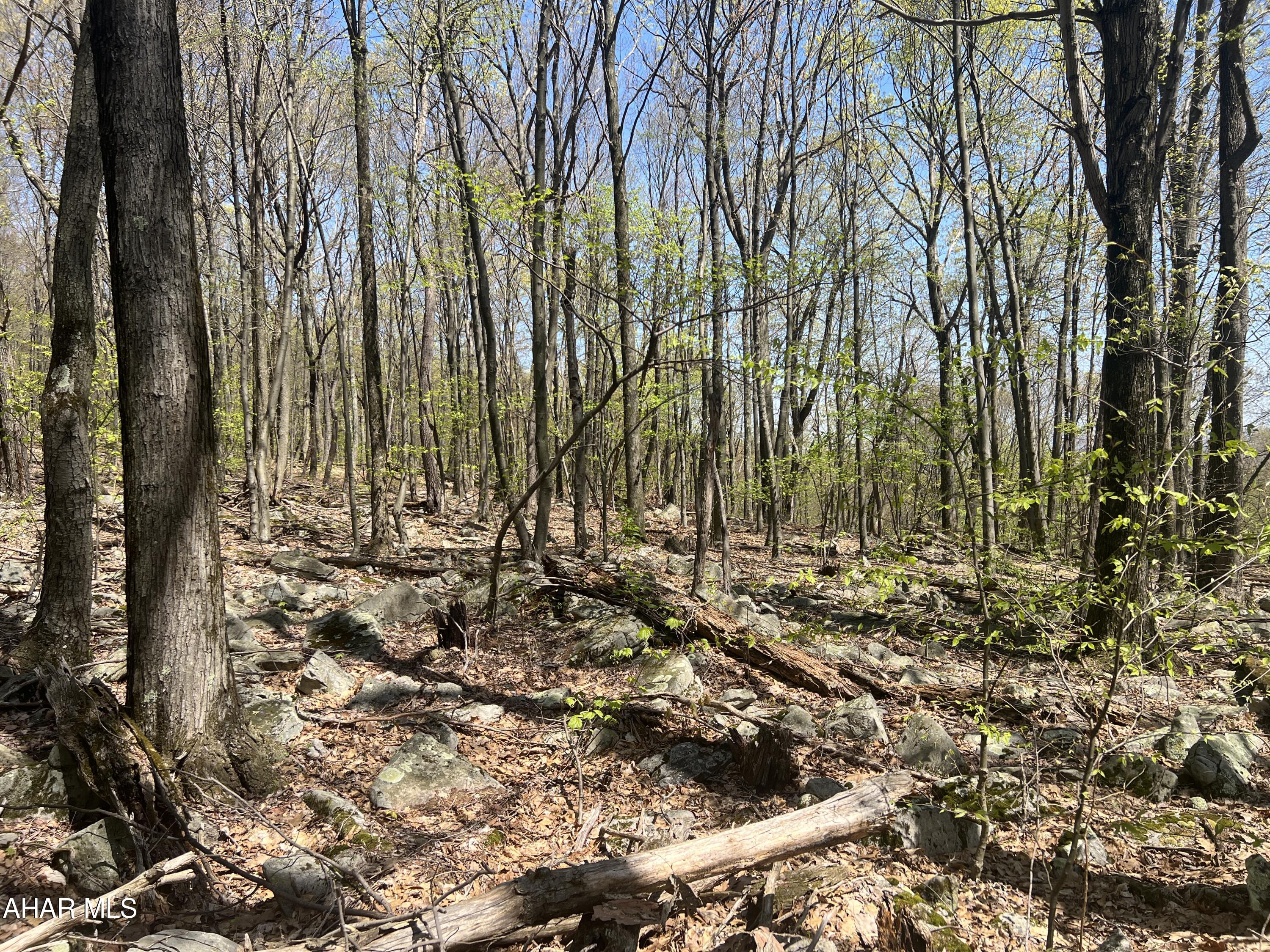 Other - Commercial Sale