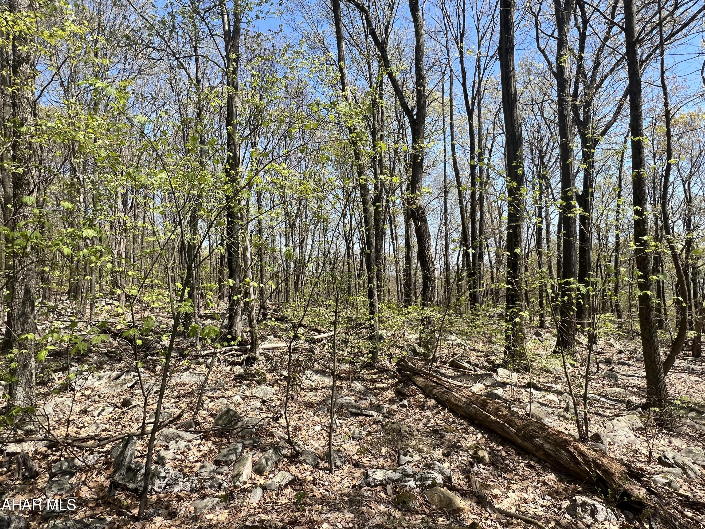 Other - Commercial Sale