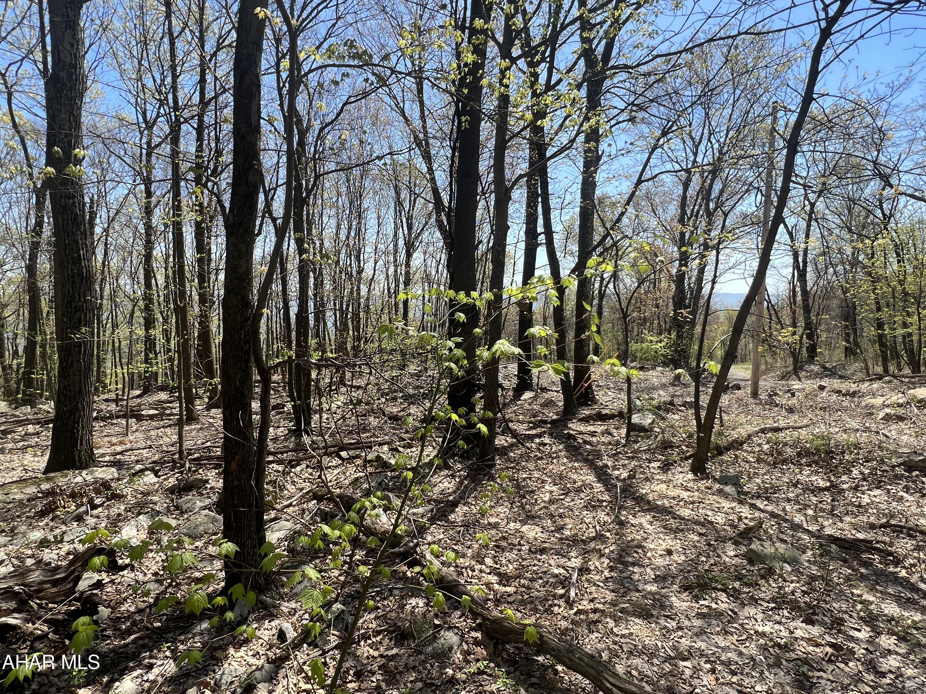 Other - Commercial Sale