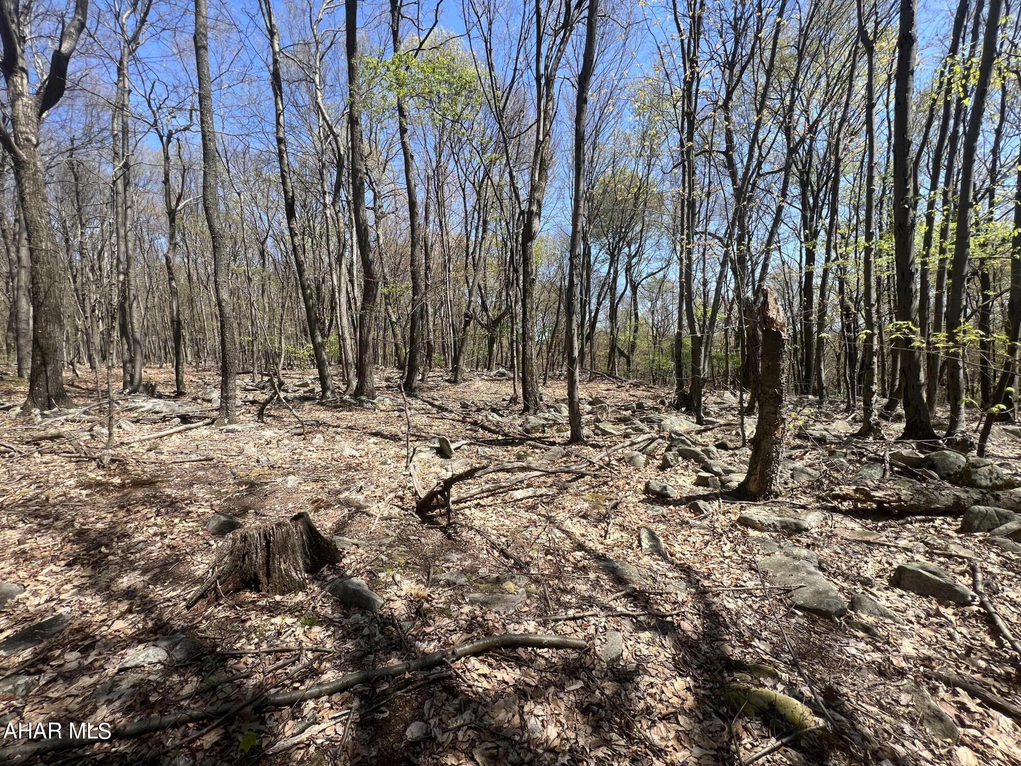 Other - Commercial Sale