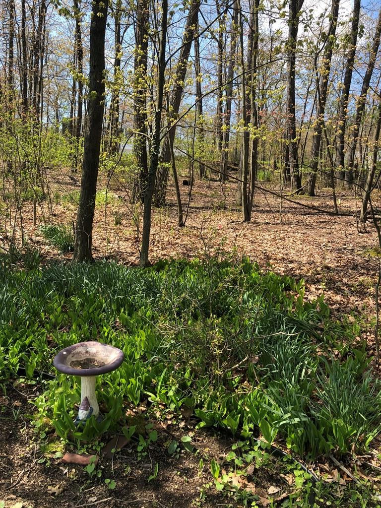 Beverly Hills - Residential