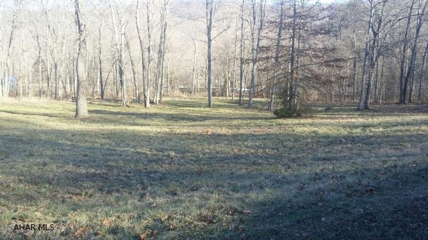 Level 5.35 wooded acres with stream. Beautiful building site. Perc approved in 2015.