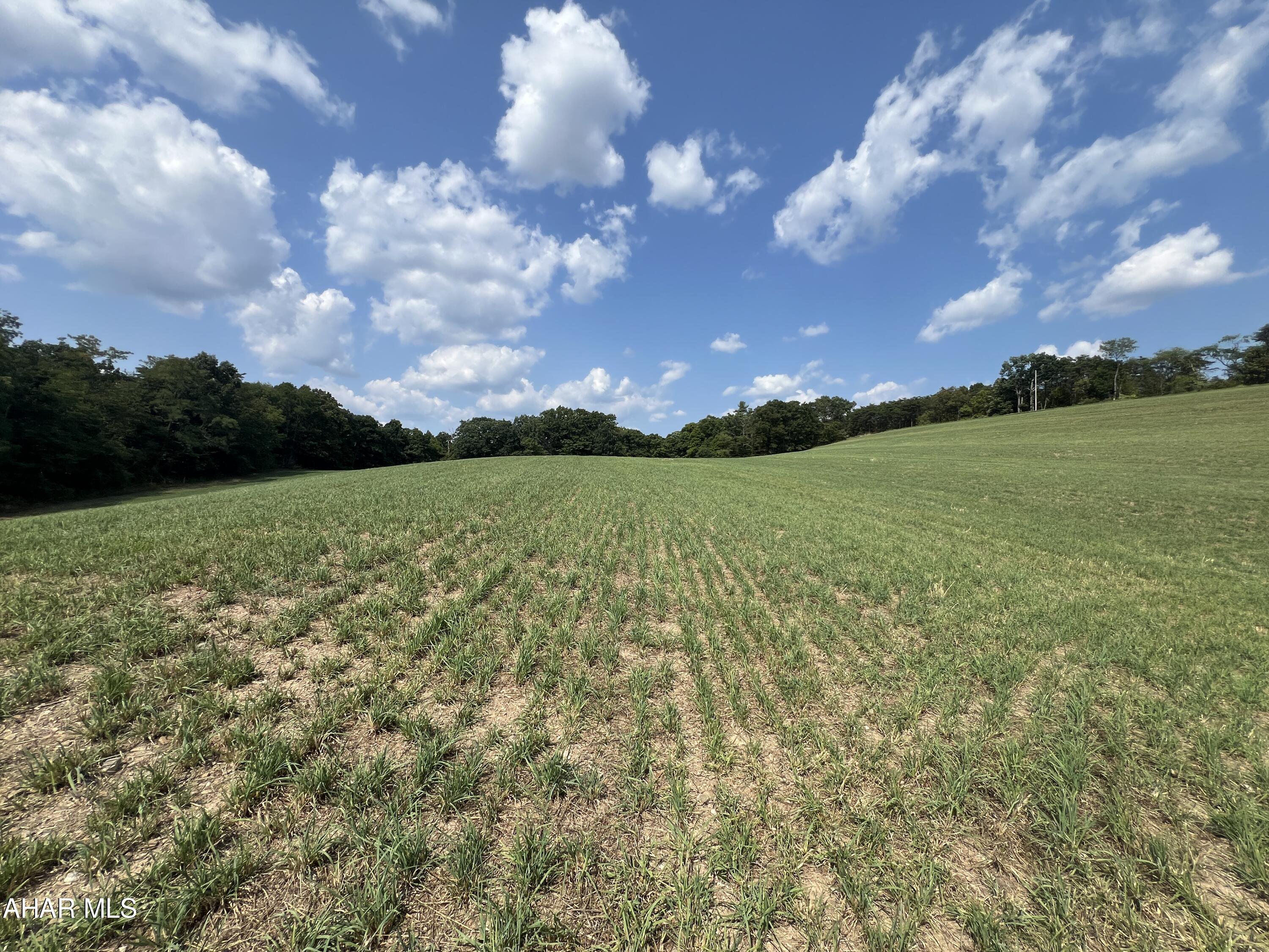 None - Commercial Sale