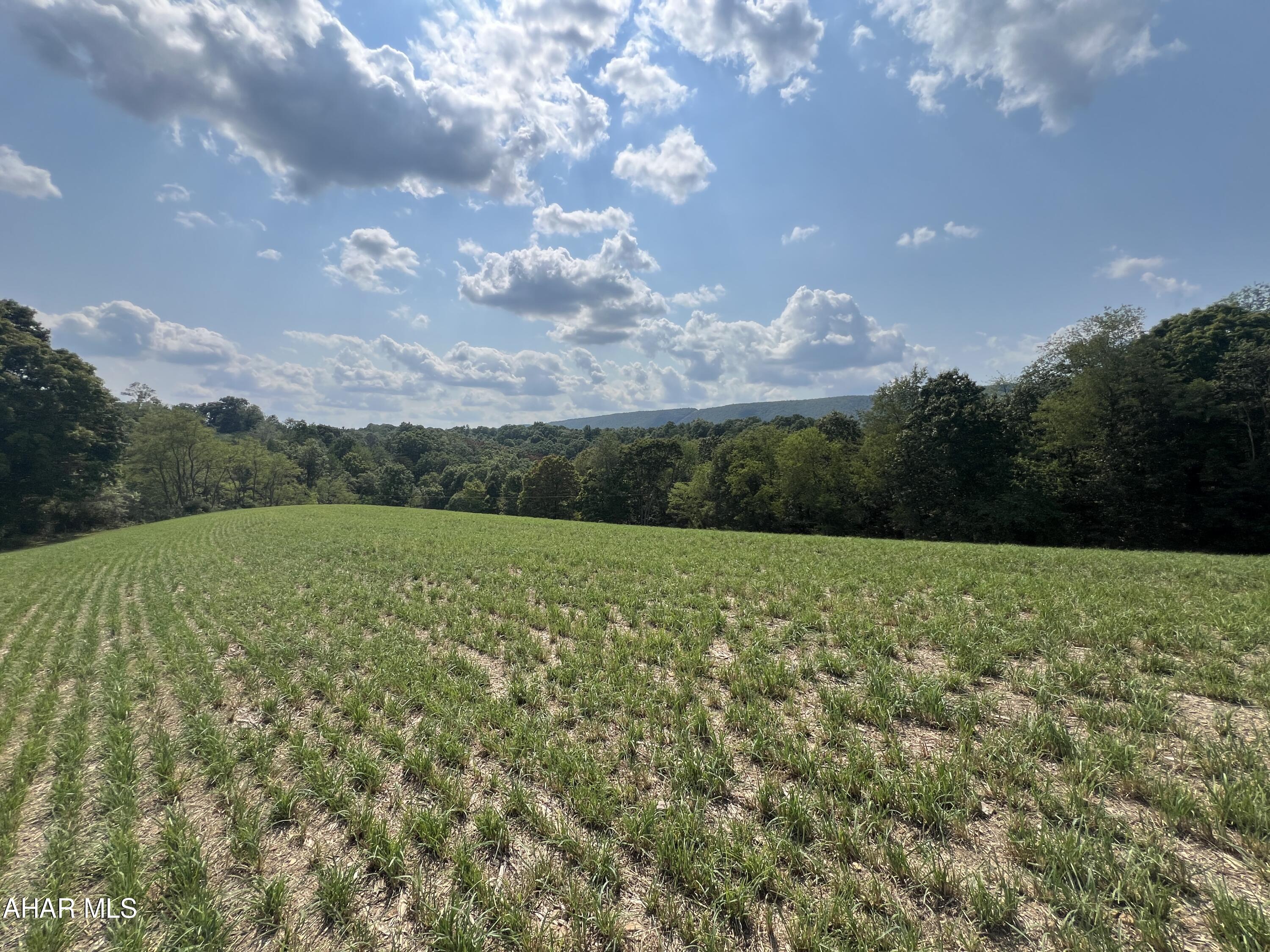 None - Commercial Sale