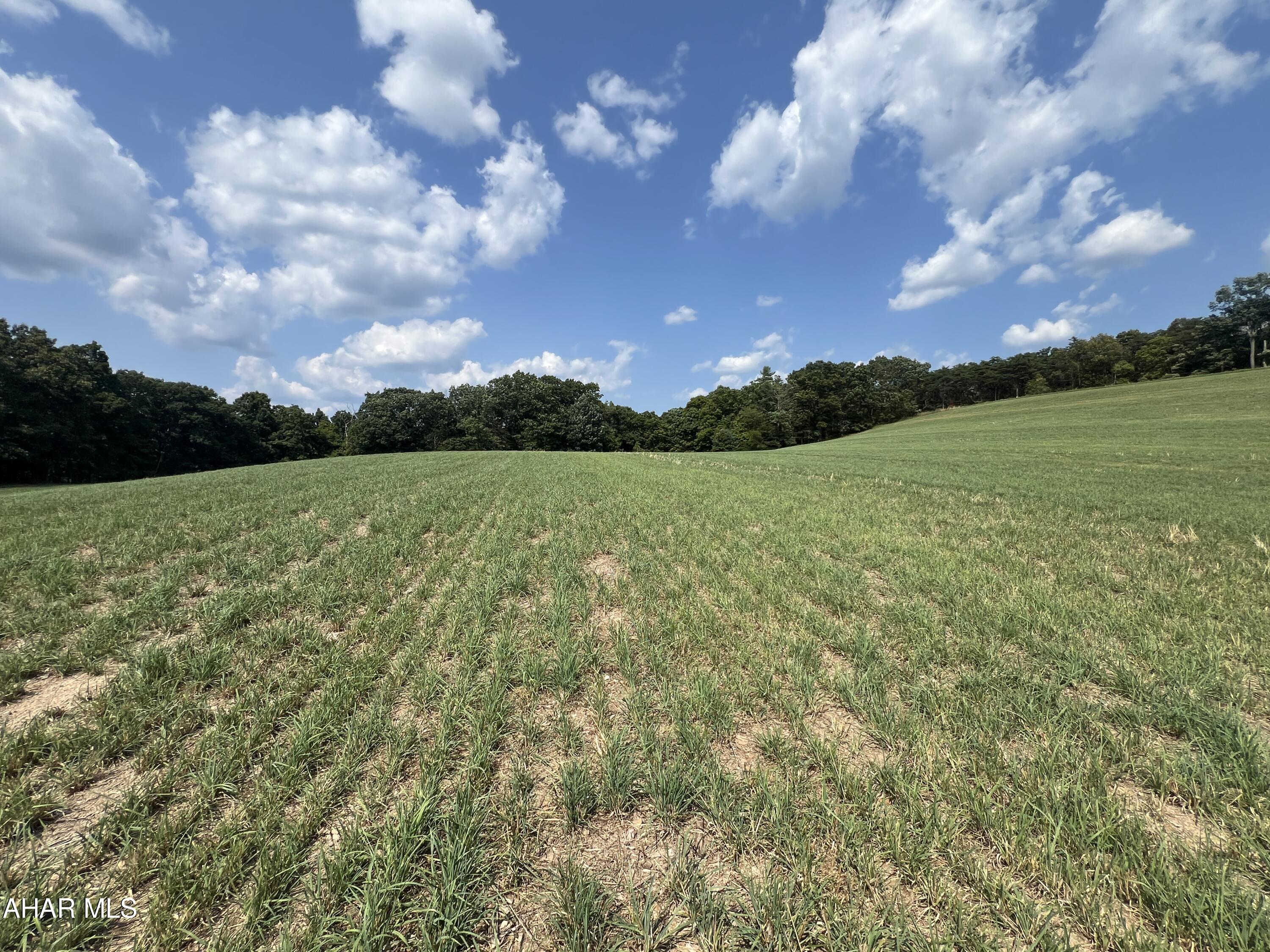 None - Commercial Sale