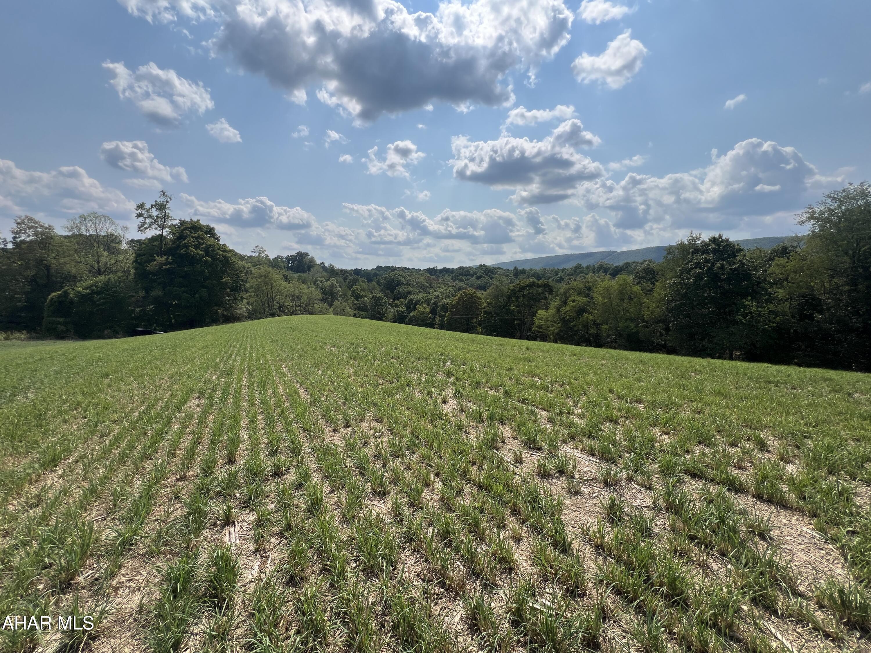 None - Commercial Sale