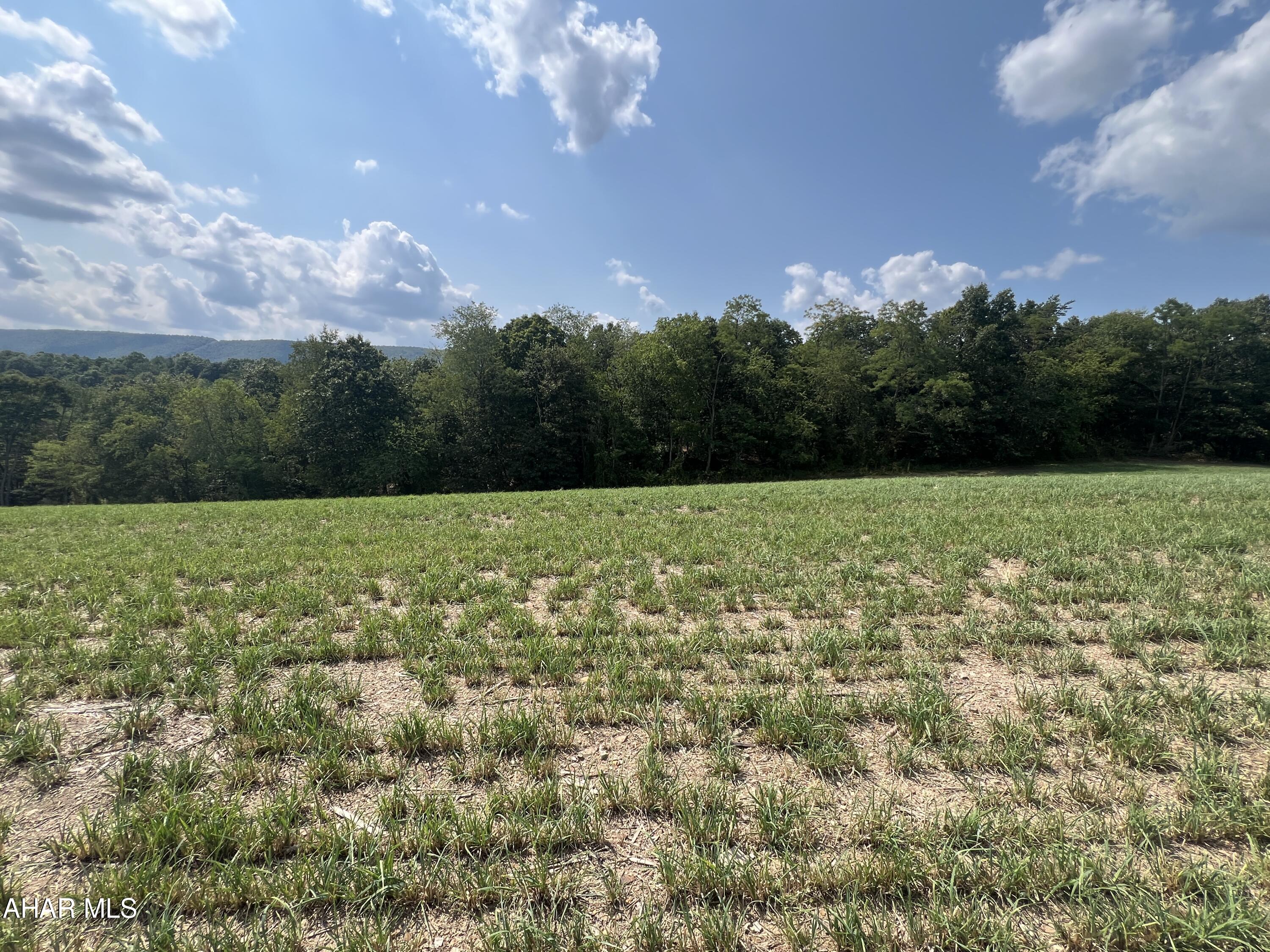 None - Commercial Sale