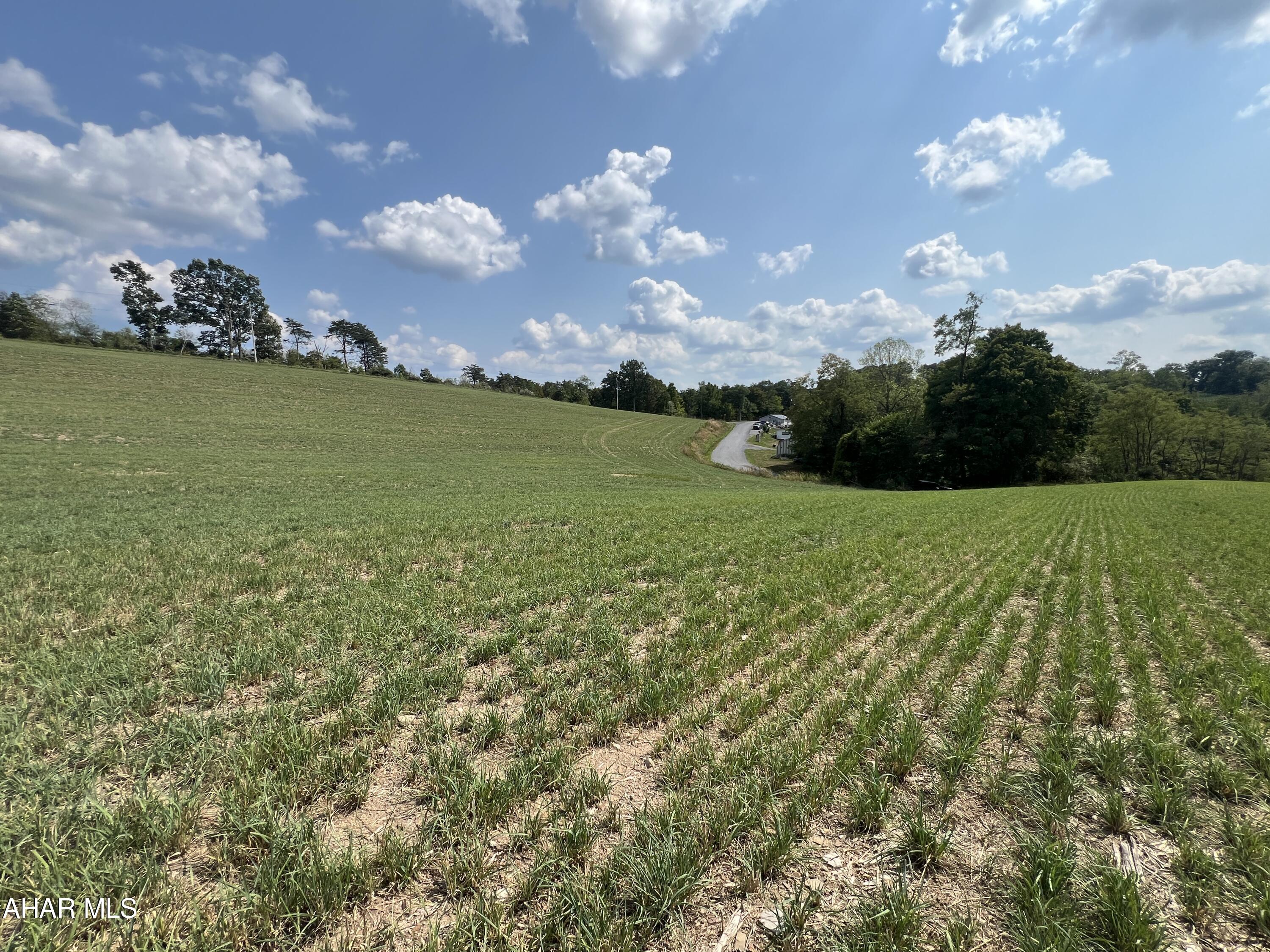 None - Commercial Sale