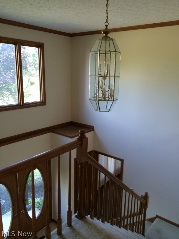 Brookside - Residential