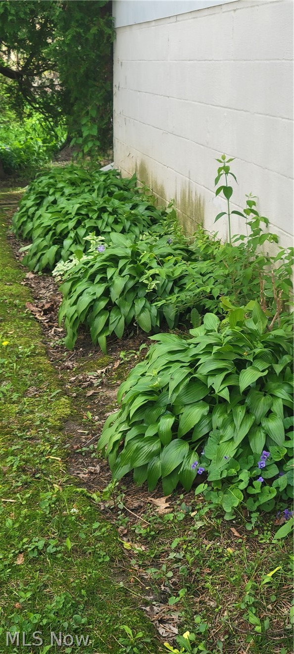 Charles A Wilcox - Residential