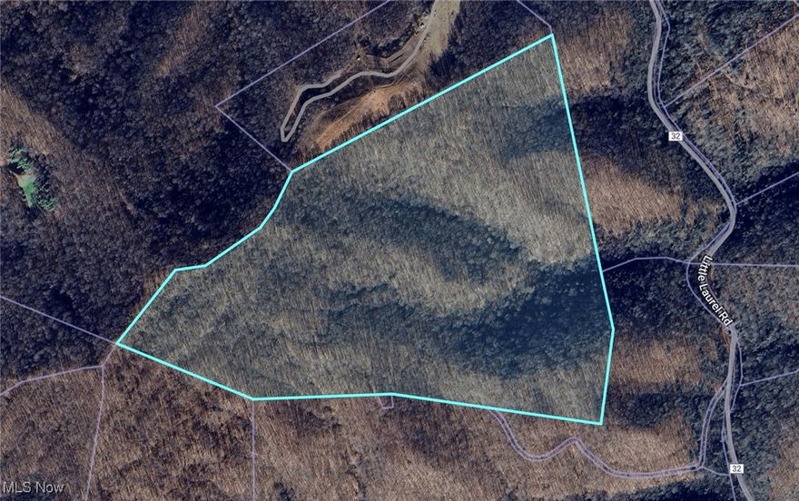 66 +/- Acres of hunting land in Clay County, WV. No restrictions. Has calculated acres of 123.16 +/-, no current survey. Has around 5 acres of flat land that previously had a home and outbuildings which are no longer there. No guarantee on the existence of any septic or current utilities. The property has an old access road to the main road, but needs work to make it accessible by a regular vehicle. Comes with surface rights and does have timber value. Was being used for hunting and has abundant wildlife, also it is very close to the Elk River for fishing, kayaking & ATV trail riding.
