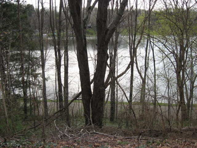 Willowdale Lake - Residential