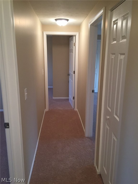 Dorchester Meadows - Residential