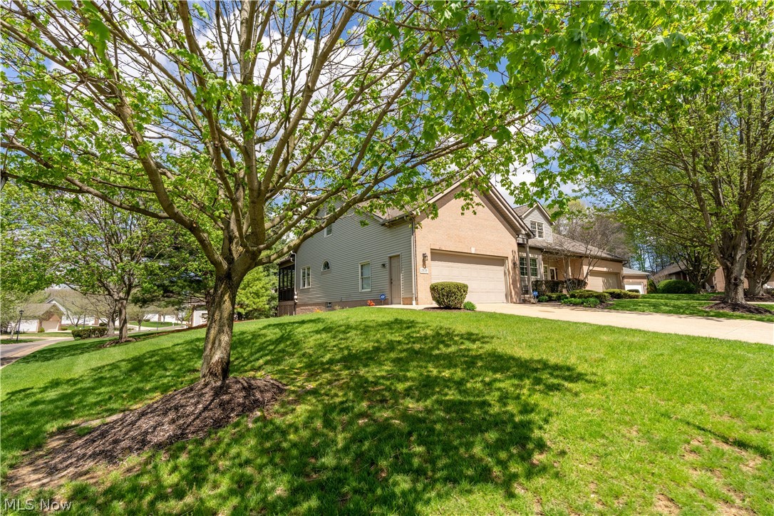 Village at St Ives - Residential