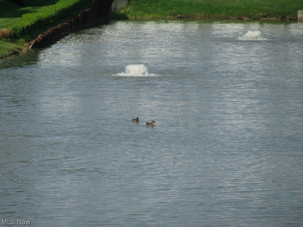 Nantucket Colony Condo - Residential