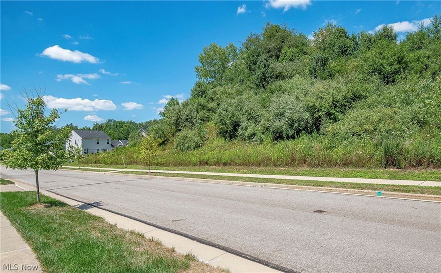 Don't miss this opportunity to build your dream home in the desirable Lakes of Green development! Adjacent lot owned by HOA. Utilities at the street.