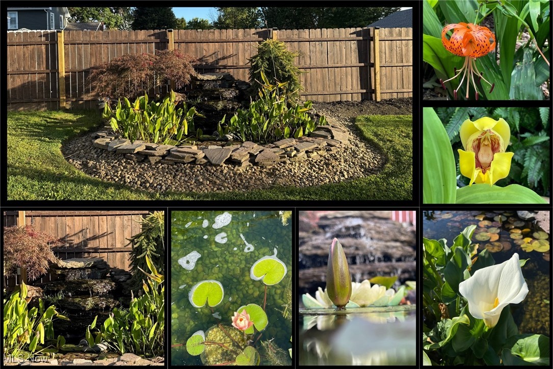 Phelps Surv - Residential