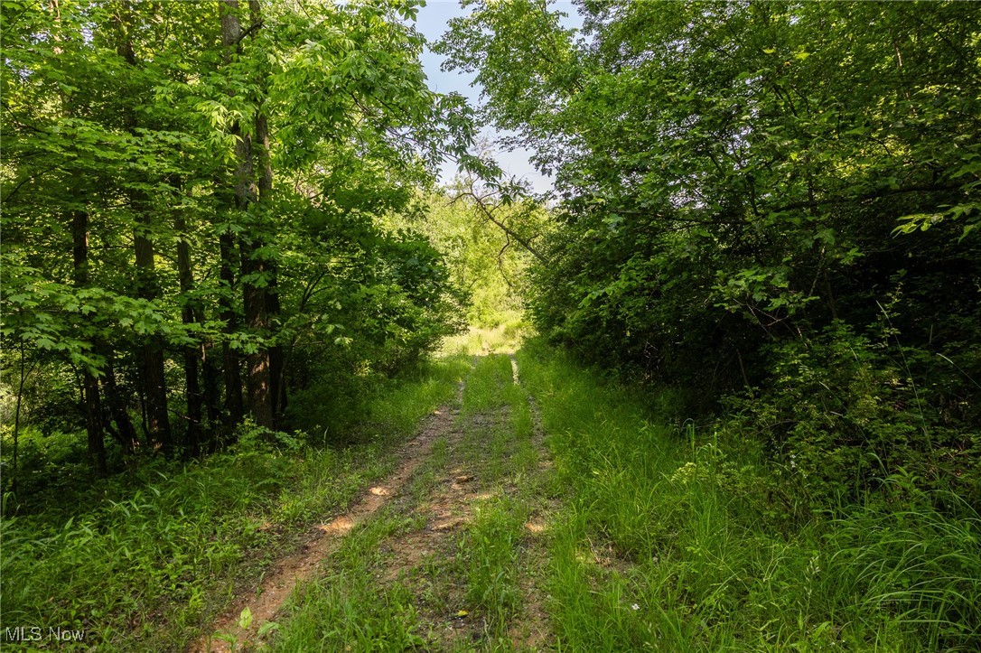 9200 Azalea Road, Dennison, Ohio image 17