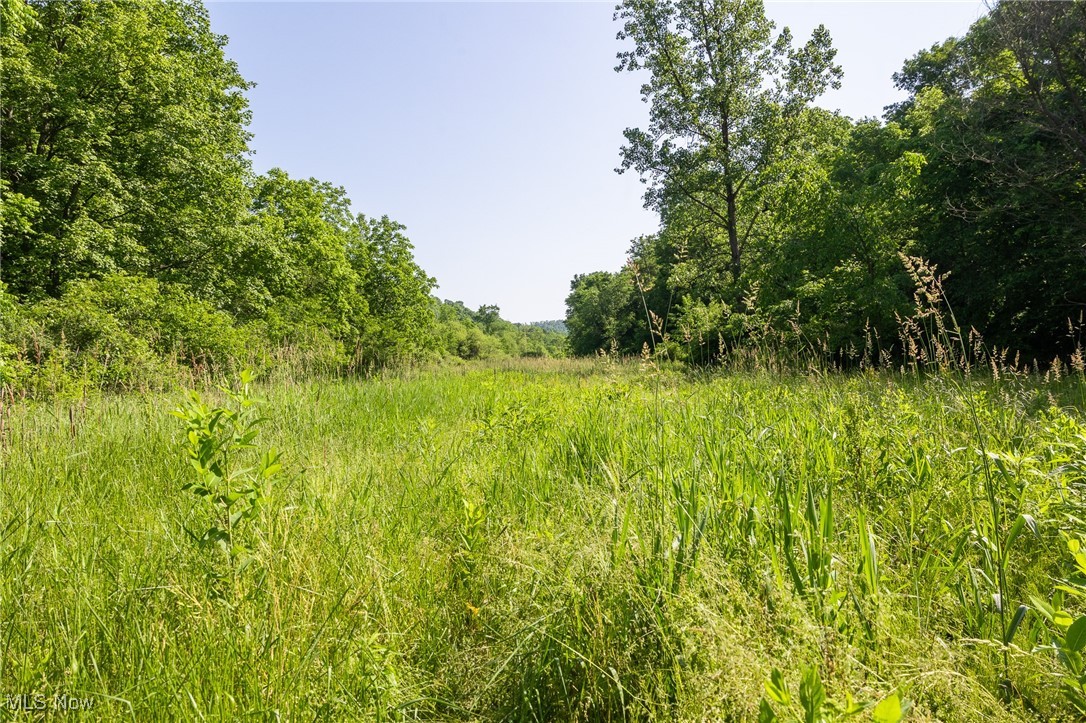 9200 Azalea Road, Dennison, Ohio image 20