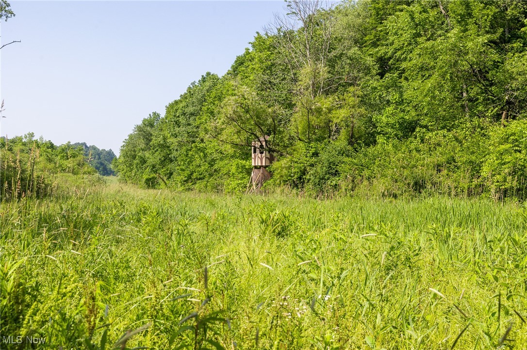 9200 Azalea Road, Dennison, Ohio image 5