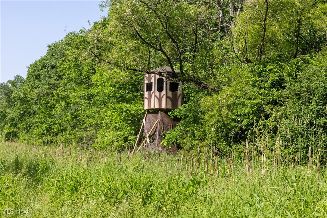 9200 Azalea Road, Dennison, Ohio image 3