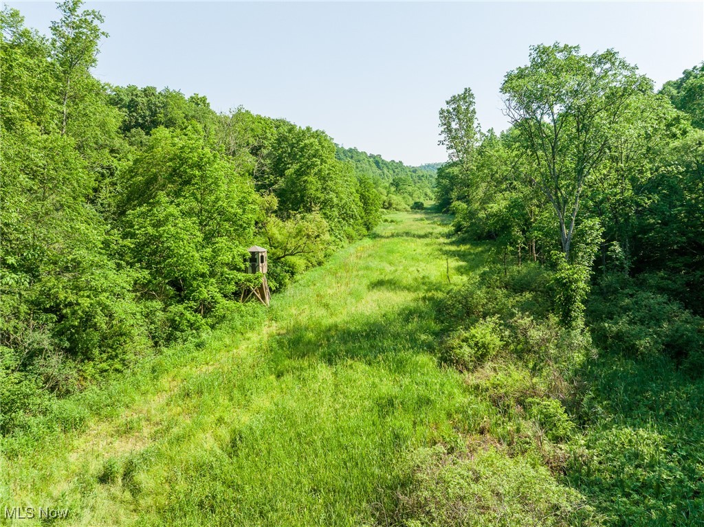 9200 Azalea Road, Dennison, Ohio image 34