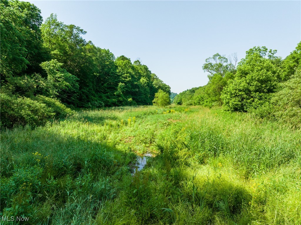 9200 Azalea Road, Dennison, Ohio image 13