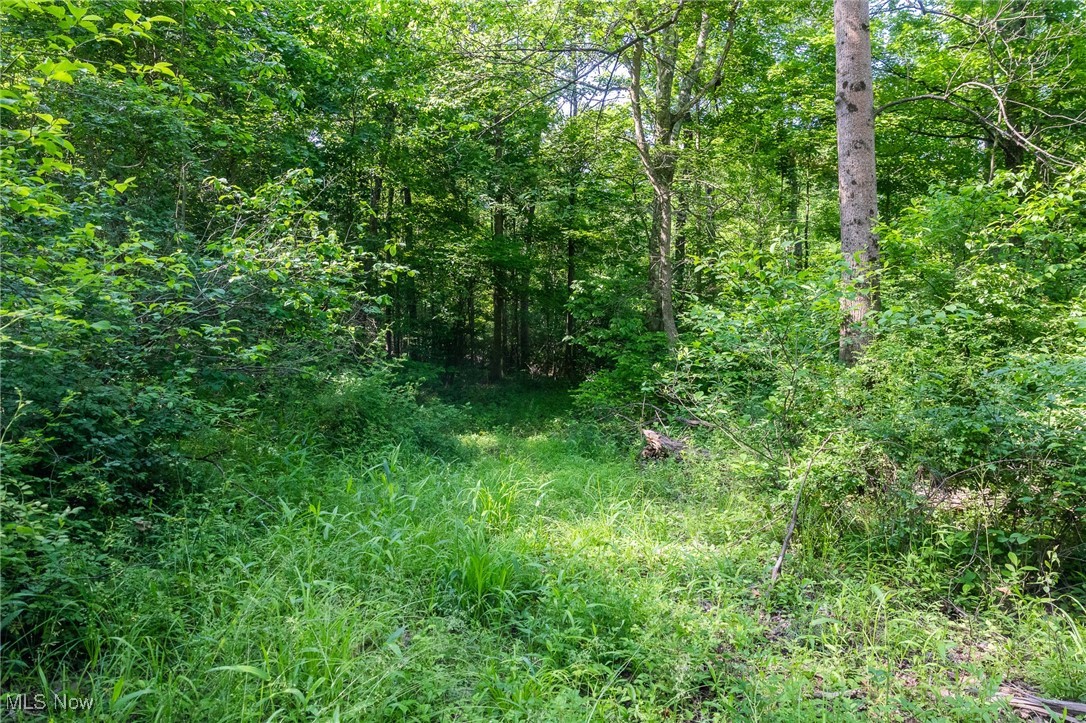 9200 Azalea Road, Dennison, Ohio image 27