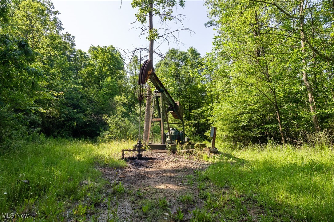 9200 Azalea Road, Dennison, Ohio image 22